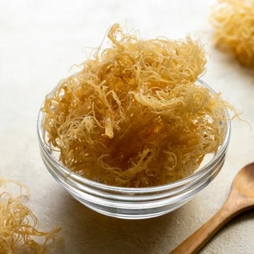 Benefits of Sea Moss Benefits of Sea Moss